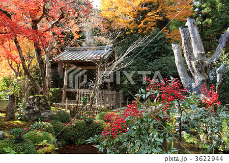 大原 寂光院庭園 大原 寂光院庭園 3622944