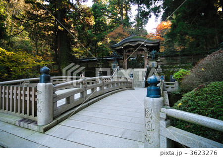 秋の最乗寺 3623276