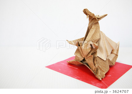 翼竜横中 翼竜横中 3624707