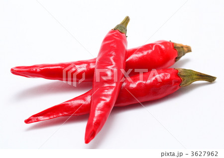 トウガラシ 3627962