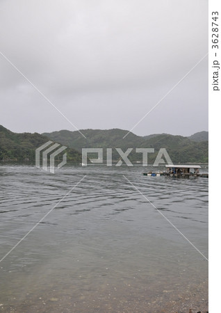 浦ノ内湾 3628743