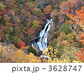 紅葉と滝 3628747