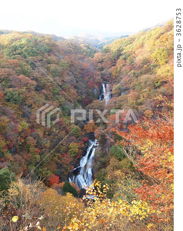 紅葉と滝 紅葉と滝 3628753