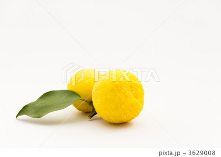 柚子 3629008