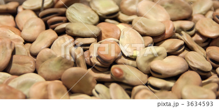 Broad beans 3634593