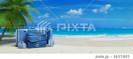 Luggage on Vacation 3635905