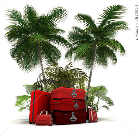 Red luggage in the tropics 3635951