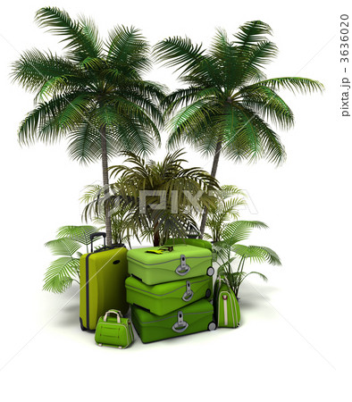 Travel service 3636020