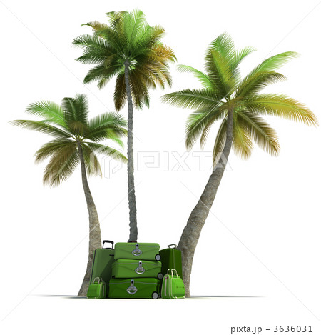 Tropical trip and elegant green luggage 3636031