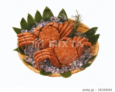 北海道物産毛蟹 3636684
