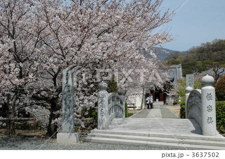 常光寺 3637502