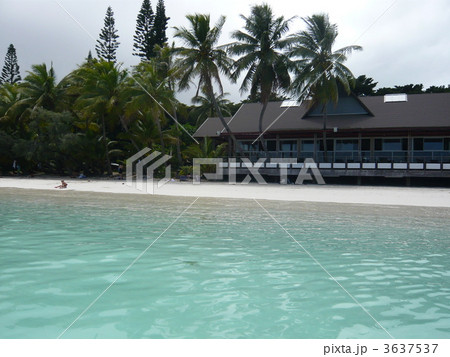 ニューカレドニア・イルデパン島 ニューカレドニア・イルデパン島 3637537