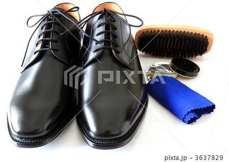 靴のお手入れ 靴のお手入れ 3637829