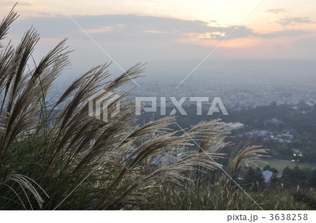 秋の奈良若草山 3638258