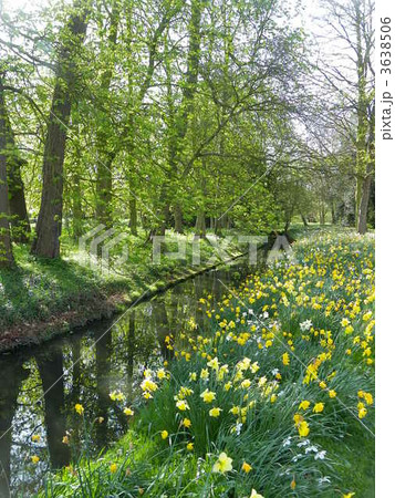 ケンブリッジの風景 3638506