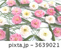 松竹梅 3639021