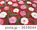 松竹梅 3639044