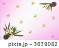 松竹梅 3639082