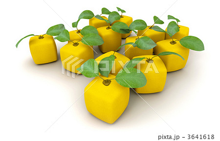 Cubic lemons group 3641618
