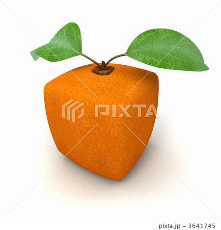 Orange geometric 3641745
