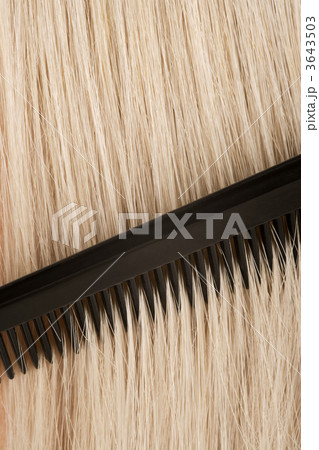 Combing blond hair 3643503