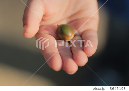 3645193