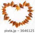 落ち葉のハート 3646125