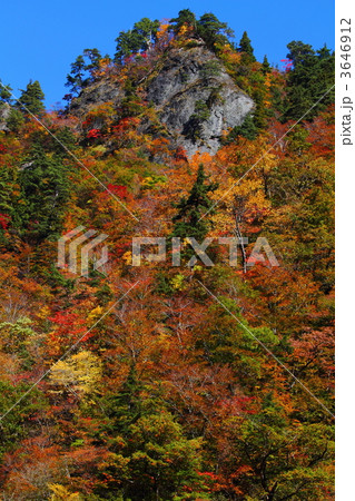 紅葉の白山スーパー林道 3646912