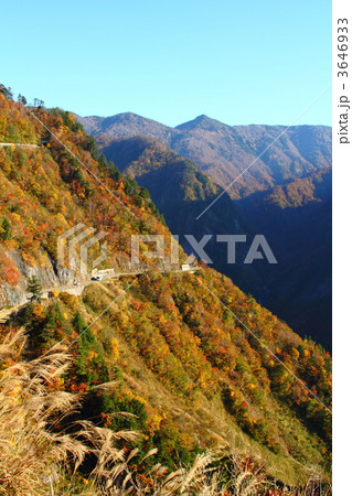 紅葉の白山スーパー林道 3646933