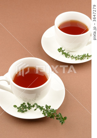 ハーブティー 3647279