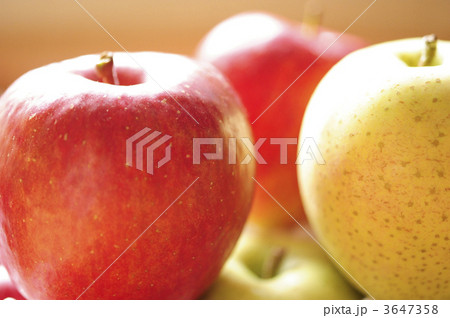 赤ずきんちゃんがやって来た 赤ずきんちゃんがやって来た 3647358