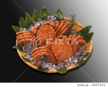 北海道物産毛蟹 3647431