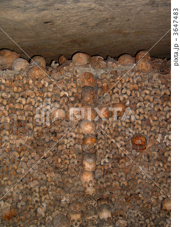 カタコンべ 3647483