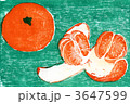 蜜柑でビタミン補給 3647599