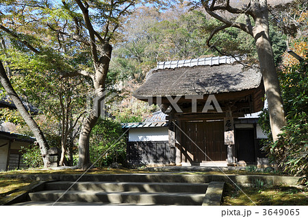 鎌倉 円覚寺 居士林 鎌倉 円覚寺 居士林 3649065