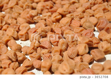 梅干し 梅干し 3652708