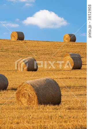 bales of hay 3652908