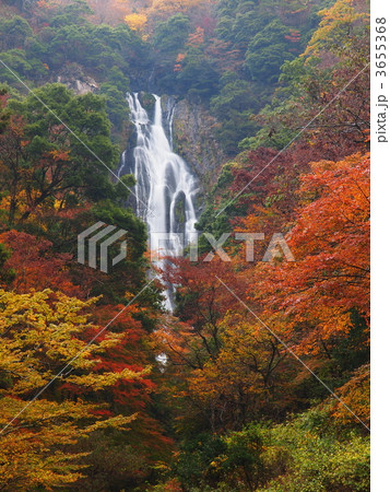 紅葉の神庭の滝 3655368