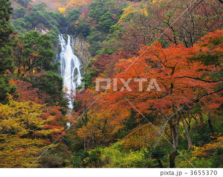 紅葉の神庭の滝 3655370