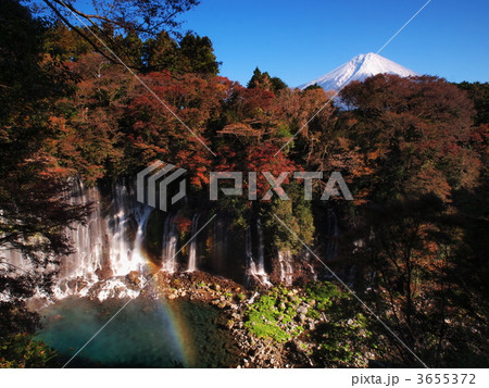 紅葉の白糸の滝 3655372