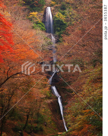 紅葉の猿尾滝 紅葉の猿尾滝 3655387