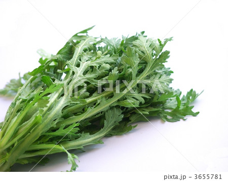 春菊 春菊 3655781