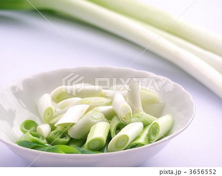 高冷地栽培の高原白ねぎ 3656552