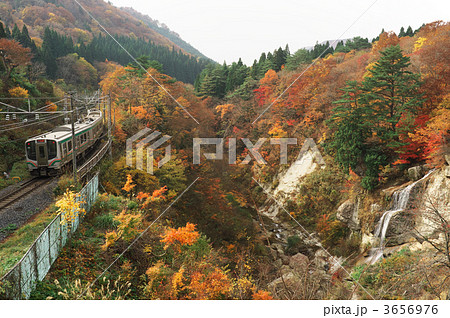 仙山線と紅葉川渓谷の写真素材 [3656976] - PIXTA