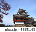 松本城 3663143