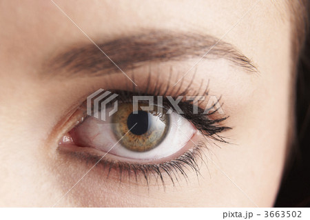 eyes 3663502