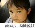 男の子 3664055