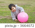 赤ちゃん 3664072
