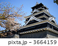 熊本城 3664159