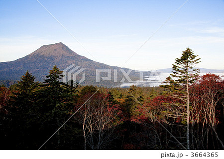 阿寒国立公園 3664365